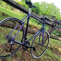 Trek 2300 carbon road bike Custom build