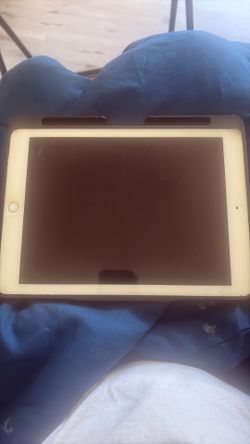 iPad Pro (9.7 - inch)