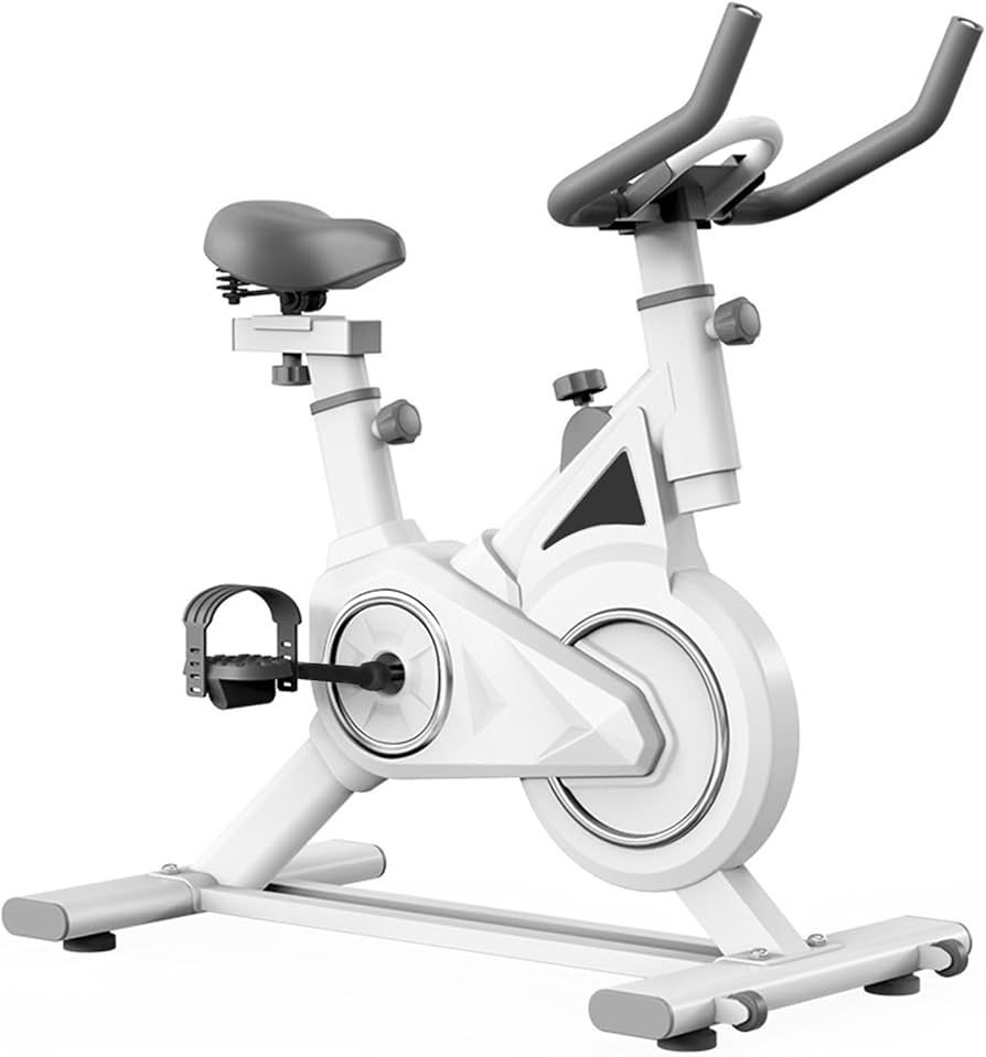 Q-6kg Exercise Bike with Infinite Resistance for Home 350 lb Weight Capacity, Adjustable Seat, Quiet Magnetic Resistance,Brake Pad Indoor Cycling Bike
