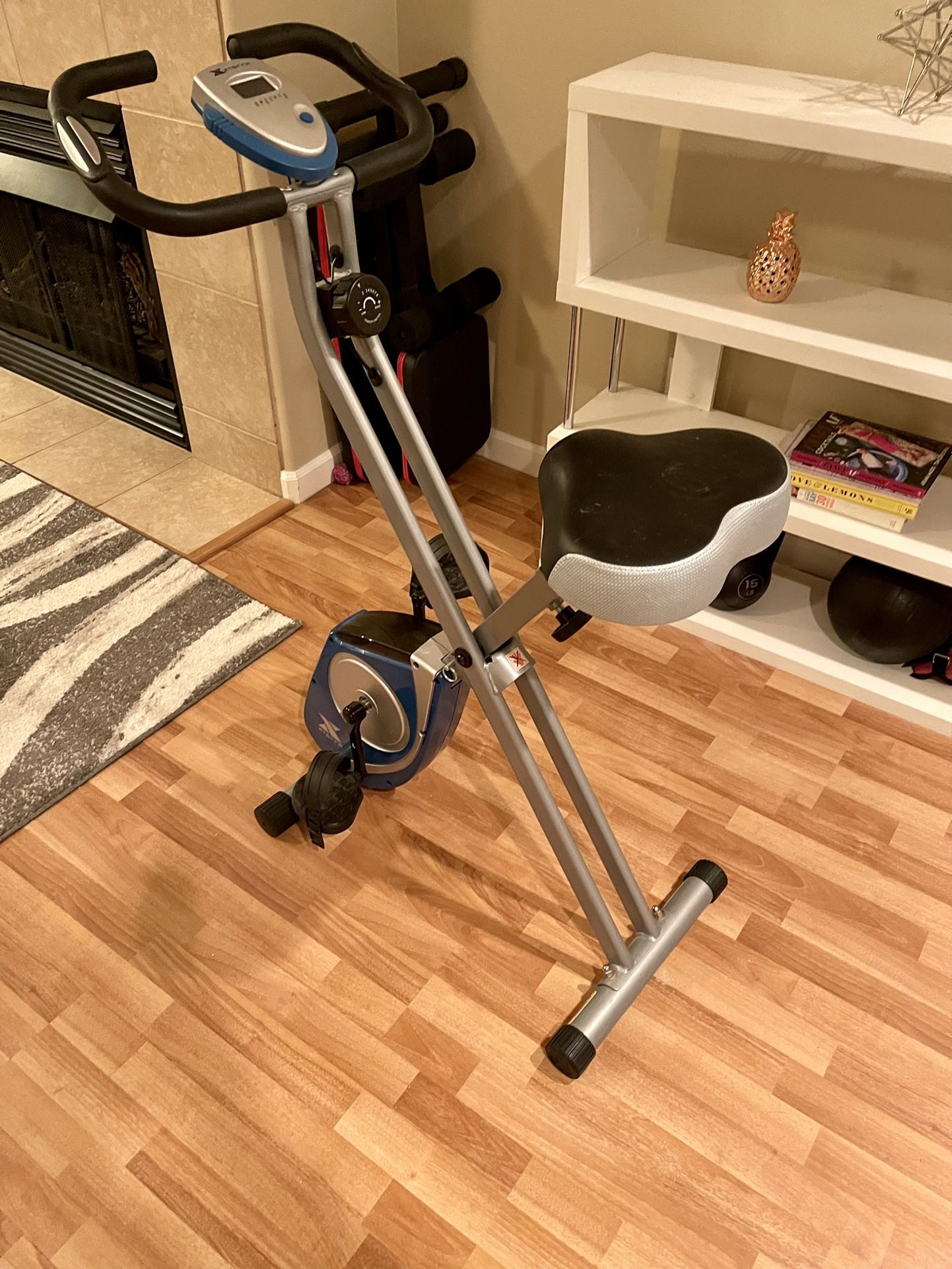 Exterra Exercise Bike