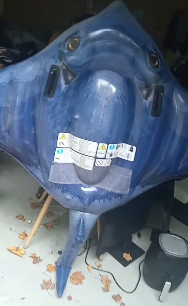 Large Stingray Float 