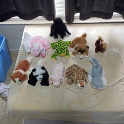 Webkinz Collection 