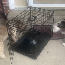 Small Dogs Cage