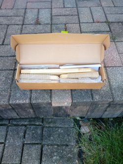 Cat Climbing Stairway