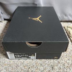 Jordan 1 Bred Twist