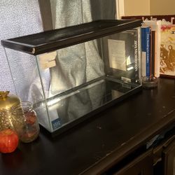 Aquarium/ Terrarium 