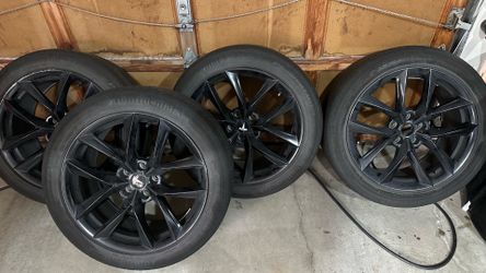 Tsportline TSS19 model Y
