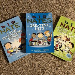 Like New Three Big Nate Books