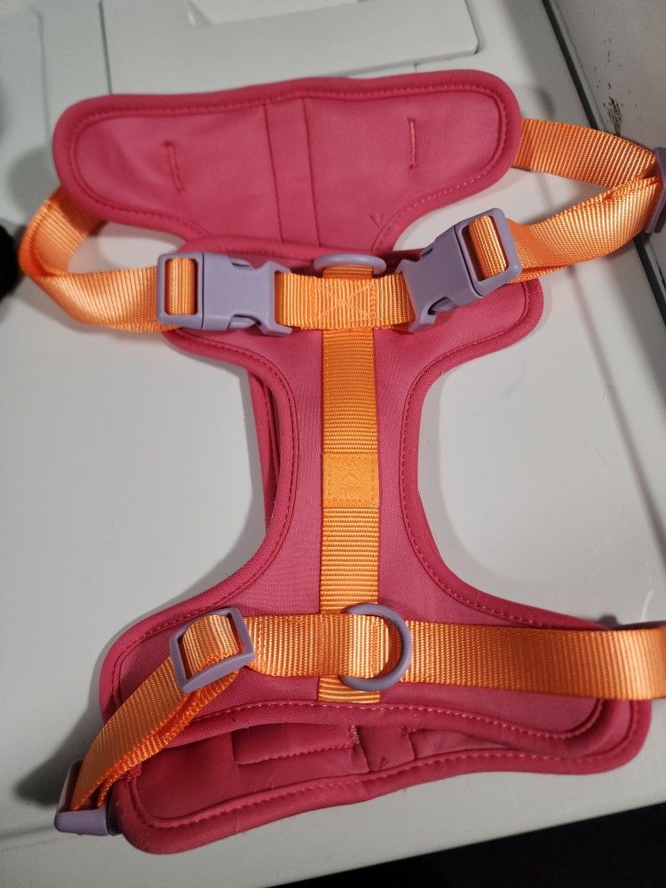 Collar Dog Lg