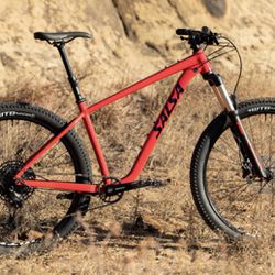 Mountain Bike  (Orig. $1450)