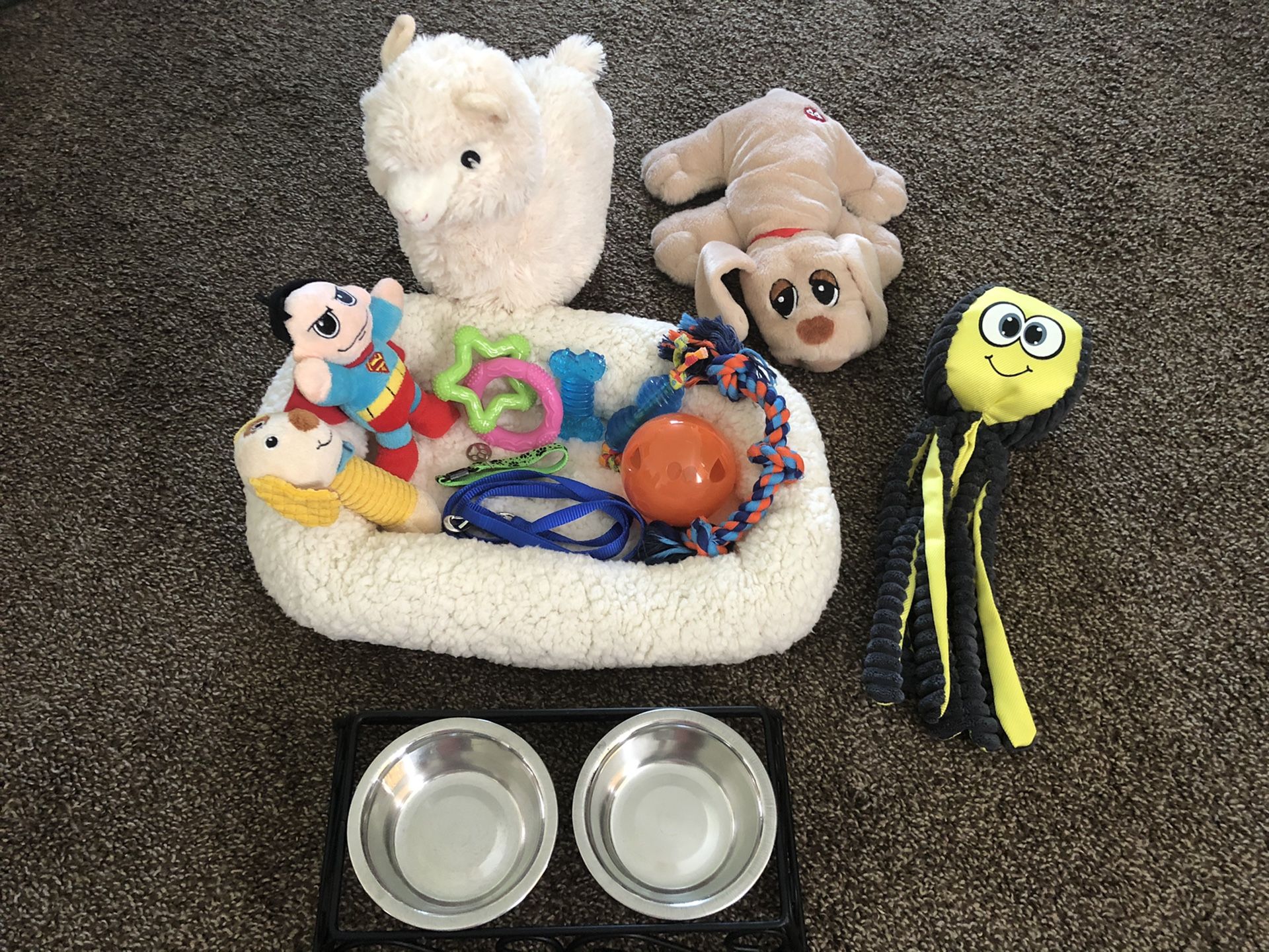 Puppy Toy,Bed, Food & Water bowl, Leash...