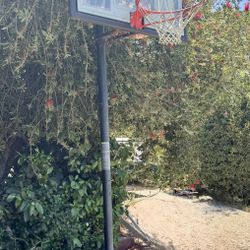 Basketball Hoop