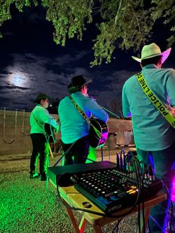 Guitarras‼️ Grupo