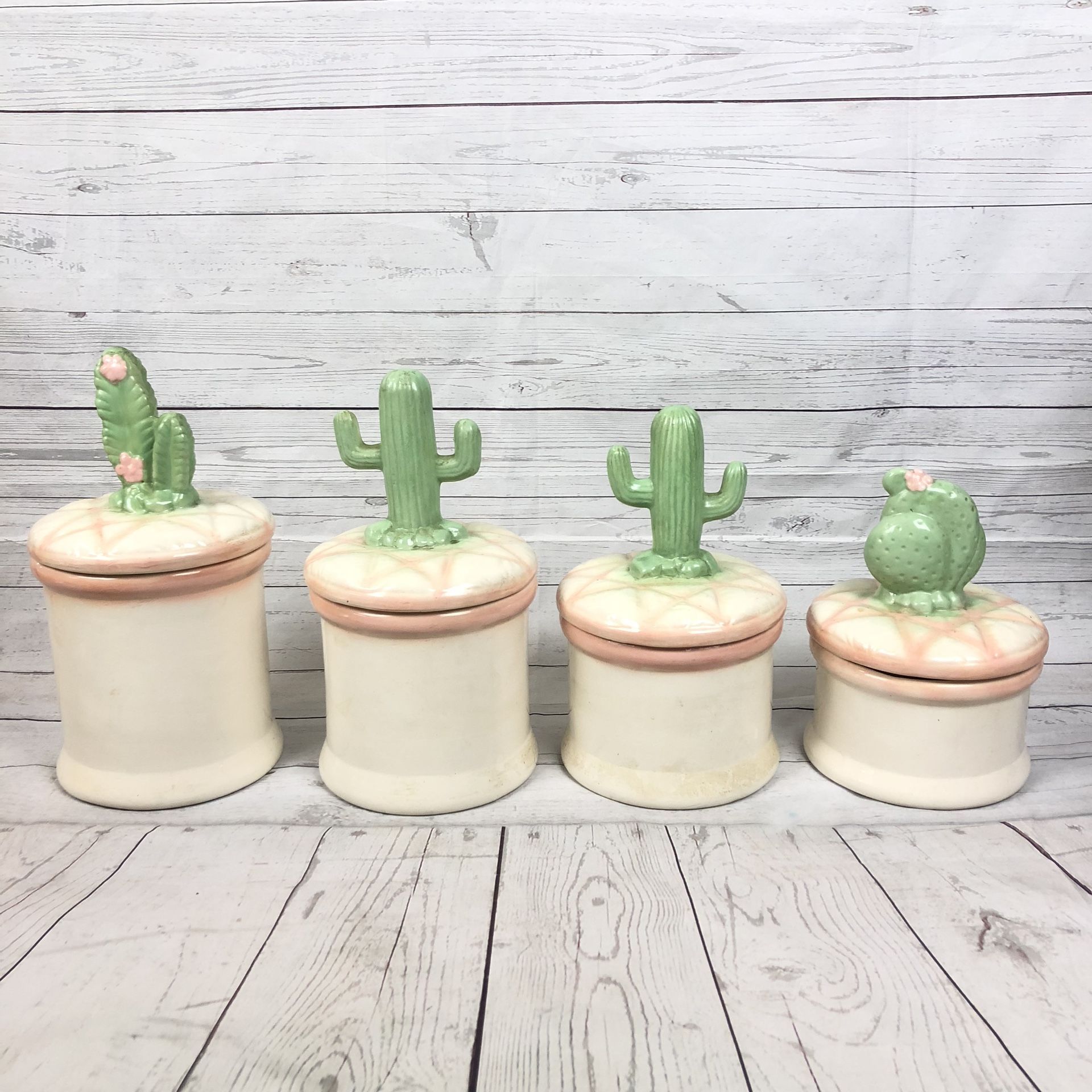 4 piece Southwestern Cactus Kitchen Display Storage Containers