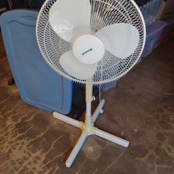 Oscillating Floor Fan 