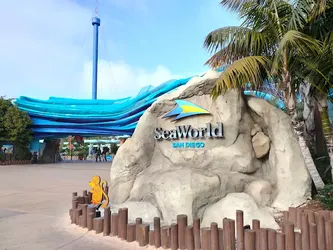 4 Seaworld tickets  70all