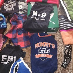 Dog Clothing & Harness