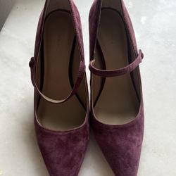 Plum Rose Ann Taylor Heels
