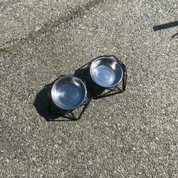 Dog Bowls