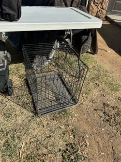 Animal kennel