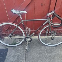 Masi Fixed Gear / Fixie Bicycle 