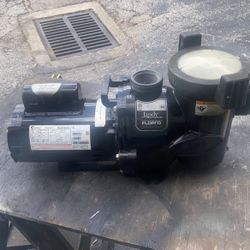 Pool Pump 1.24 HP. Jandy 