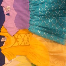3T Disney Princess Dresses 