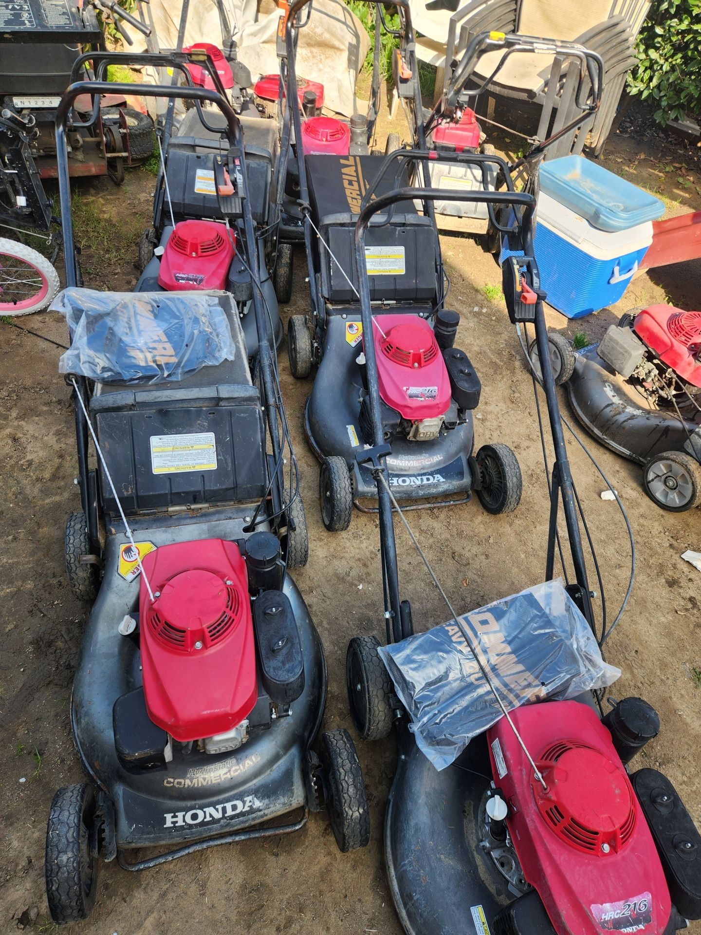 Llegaron Más Hondas