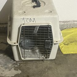 Cat/ Dog Cage 