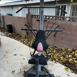 Both Flex Exercise Equipment