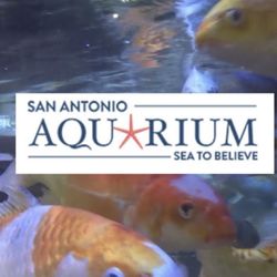 San antonio / Austin Aquarium Ticket