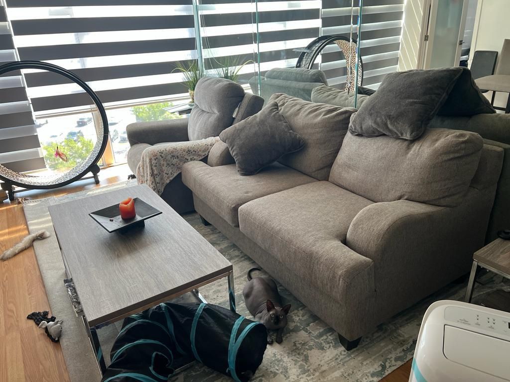 Sofa And Love Seat - City furniture 