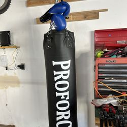 Punching Bag With Wall mount And Gloves.  100lb