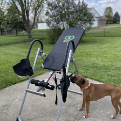 Go Plus Inversion Table