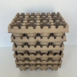 Beer Can Shipping Trays, Pack of 6