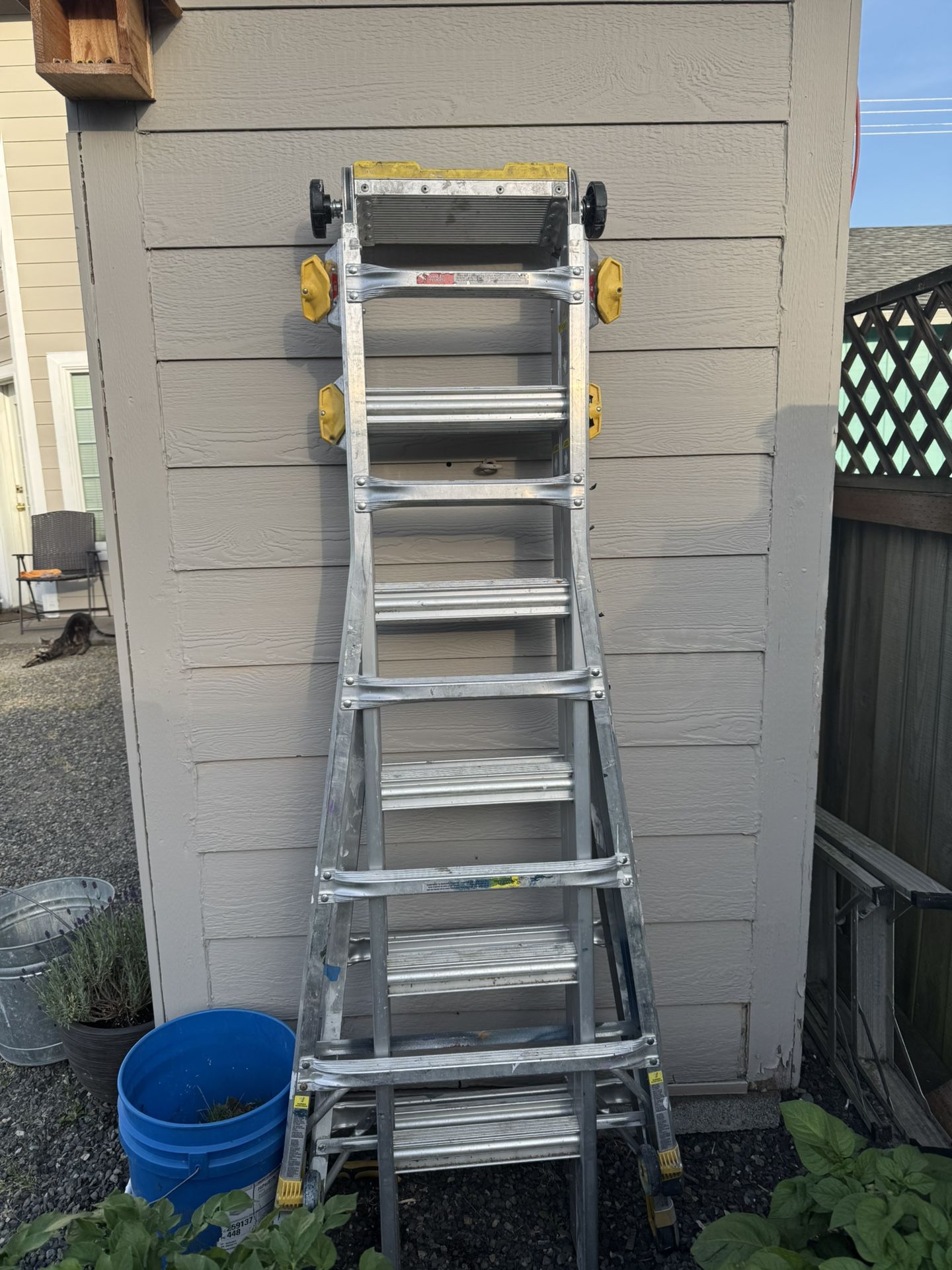 Gorilla Ladder - 22ft