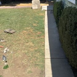 Hi Everyone I Have Concrete Slabs 2x2 1/2 Feet Free 