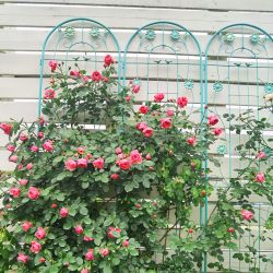 2 Pack Metal Garden Trellis 86.7 x 19.7 Rustproof Trellis for Climbing Plants Outdoor Flower Support Green