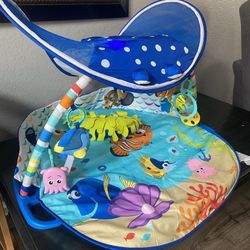 Baby Playmat