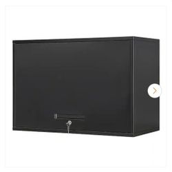 Floating Garage Wall Cabinet 