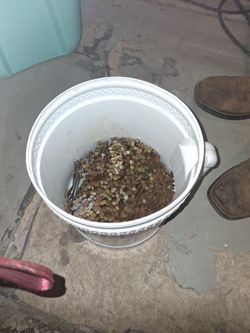 1/8 By 3 Inch Framing Nails