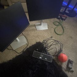 Dell Monitors With Startech Dock