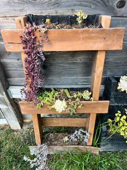 Pallet planter (tall)