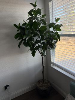 Planta Artificial