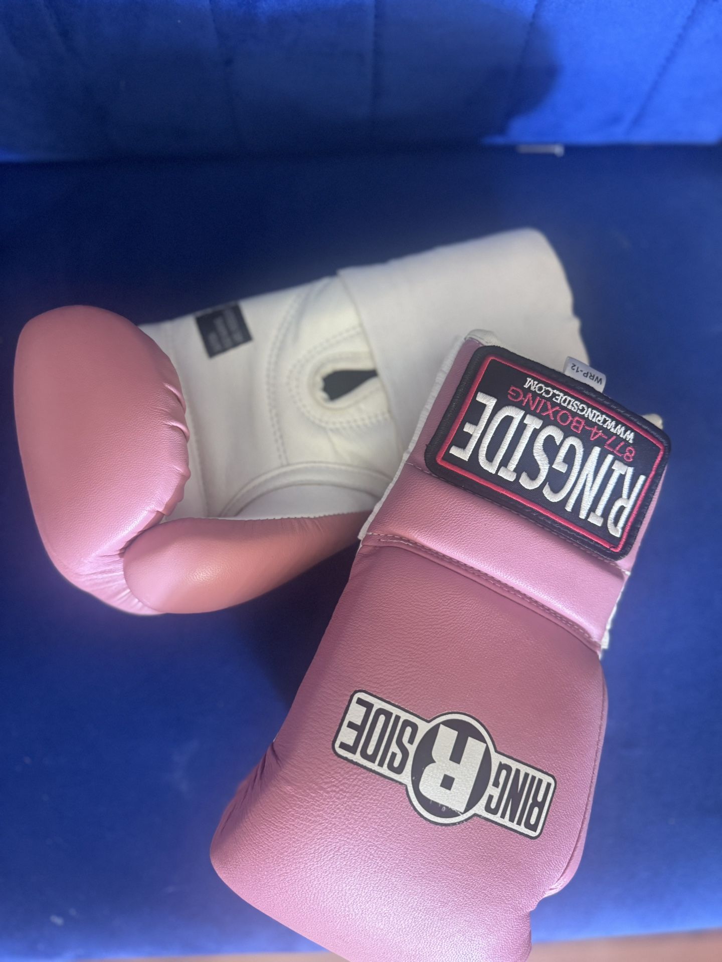 Ring Side Boxing Gloves