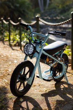 Droyd Weeler Mini-E-Bike (Perfect Condition)