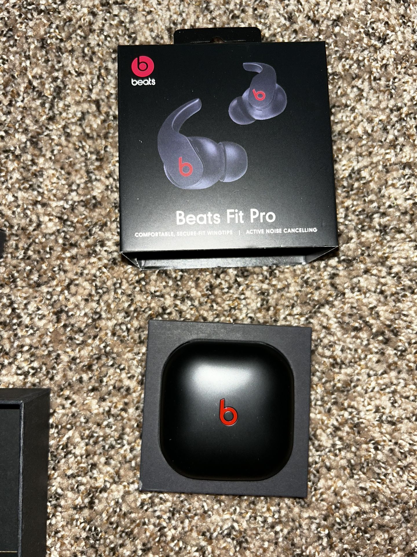 Beats by Dr. Dre Fit Pro True Wireless Earbuds - Black