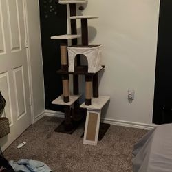 Cat Tree 