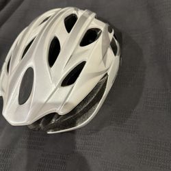 Giant Orion Bicycle Helmet 