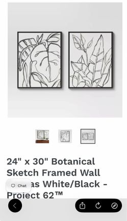 24" x 30" Botanical Sketch Framed Wall Canvas White/Black - Project 62